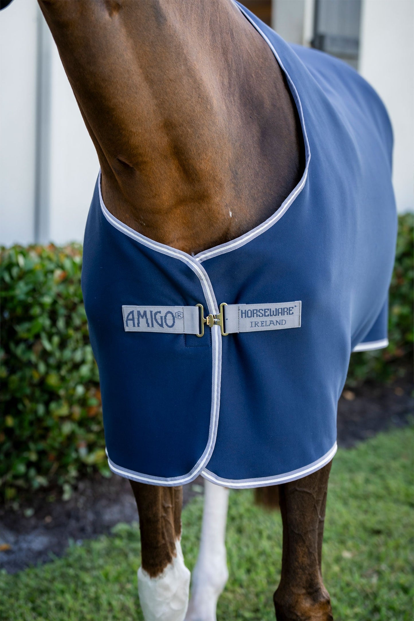 Amigo Jersey Cooler Navy