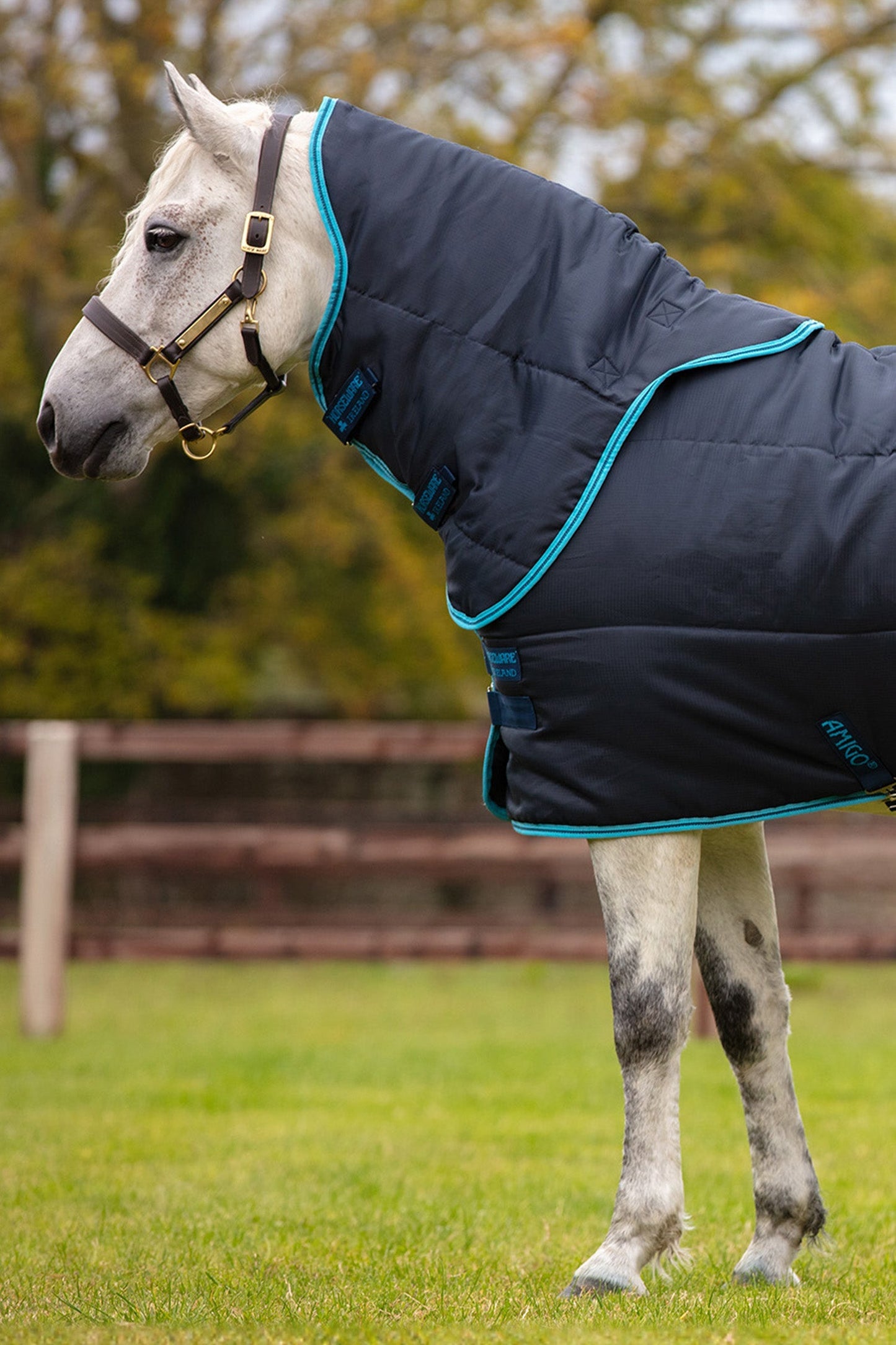 Amigo Insulator Pony Plus 200g