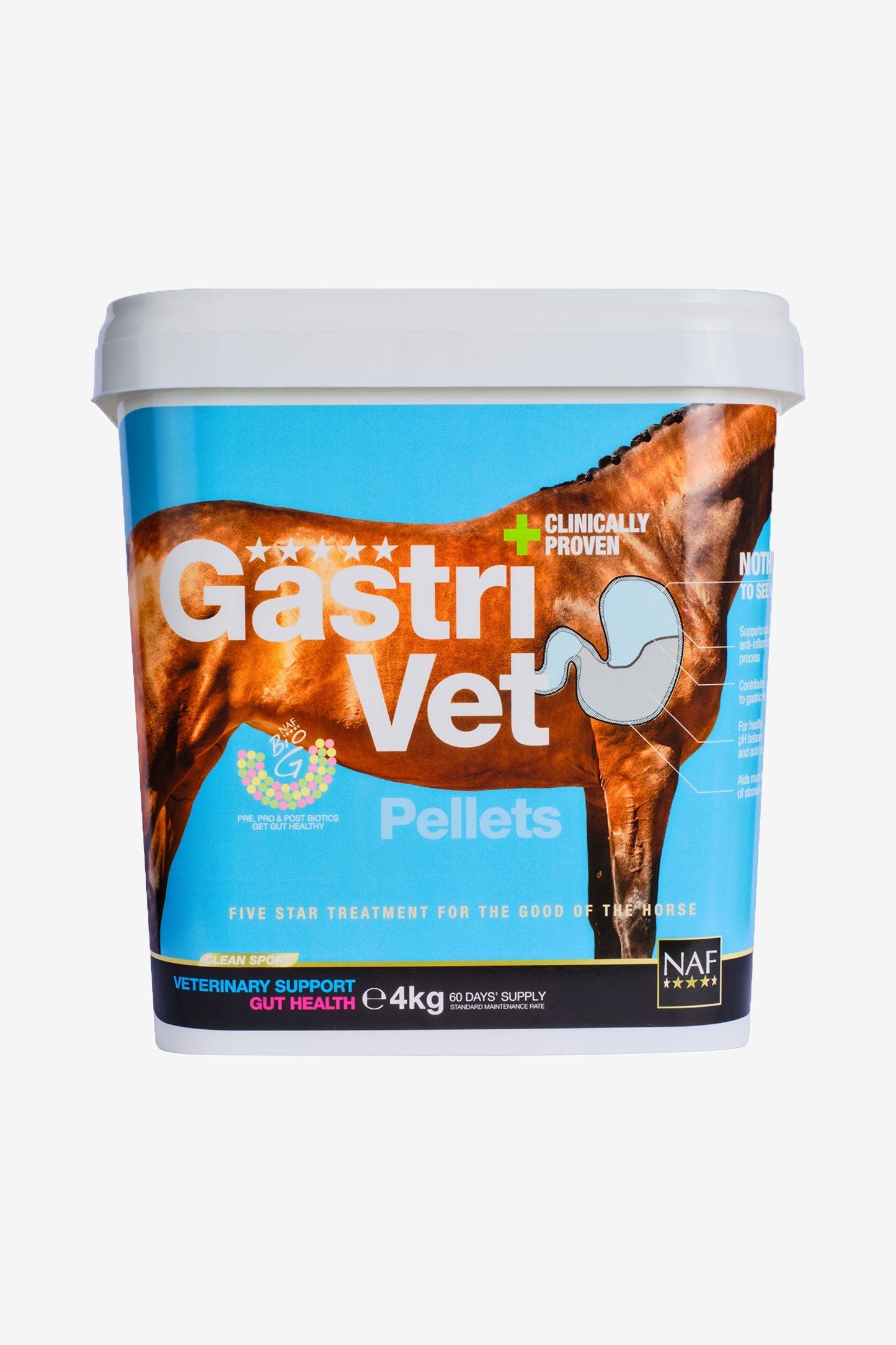 GastriVet