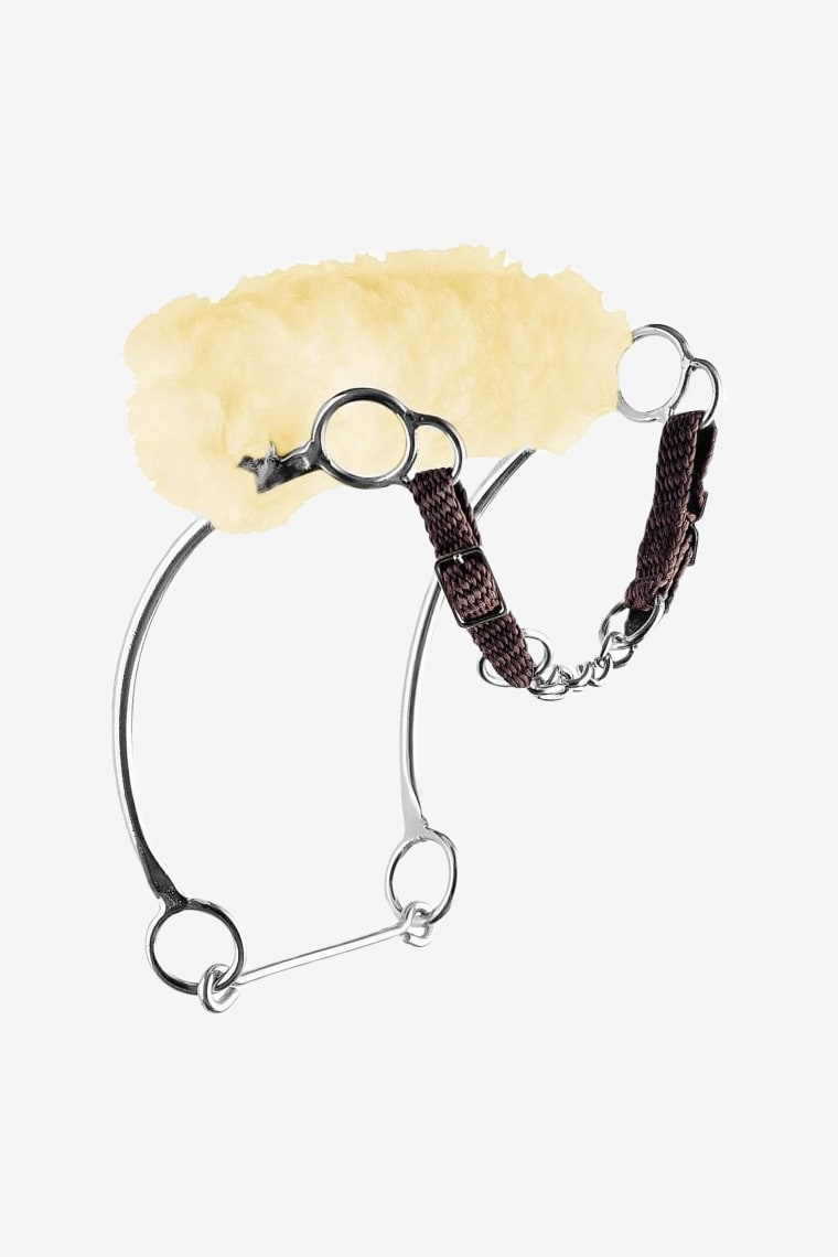 Hackamore