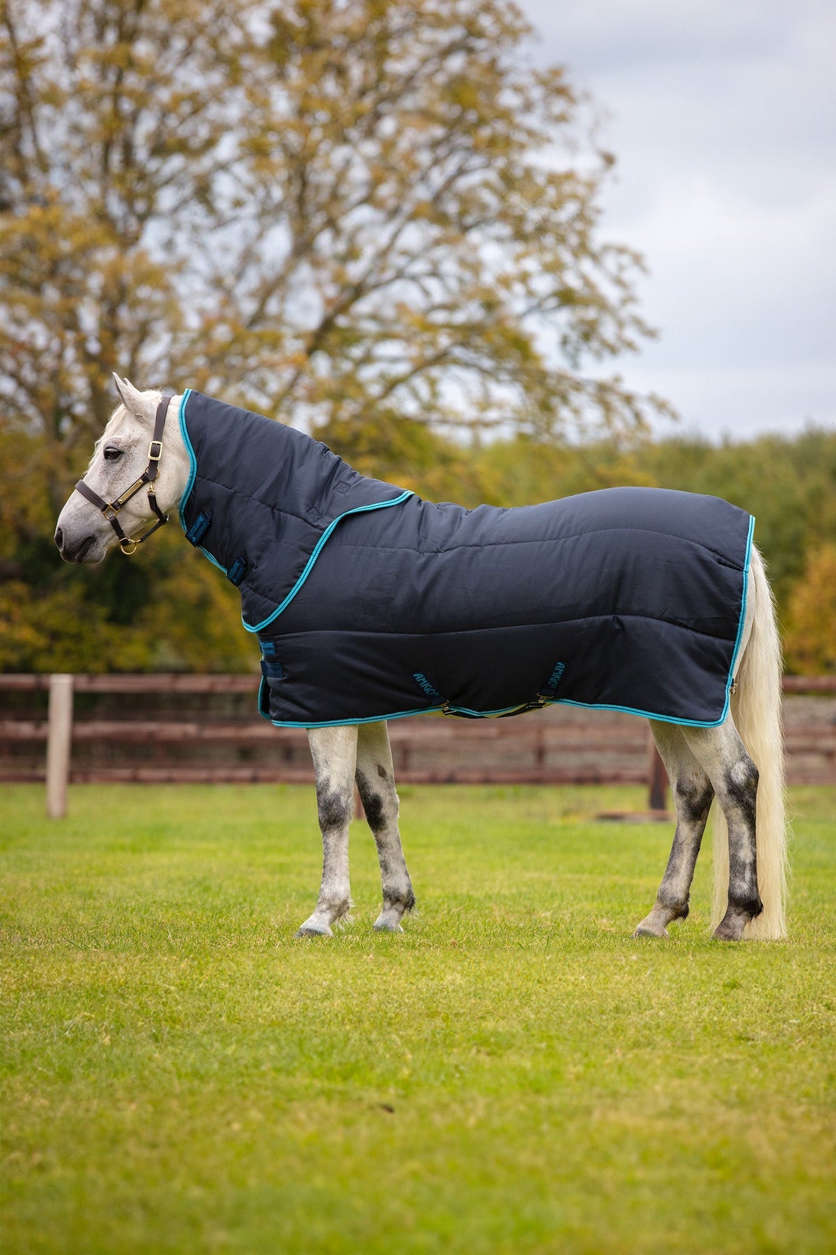 Amigo Insulator Pony Plus 200g