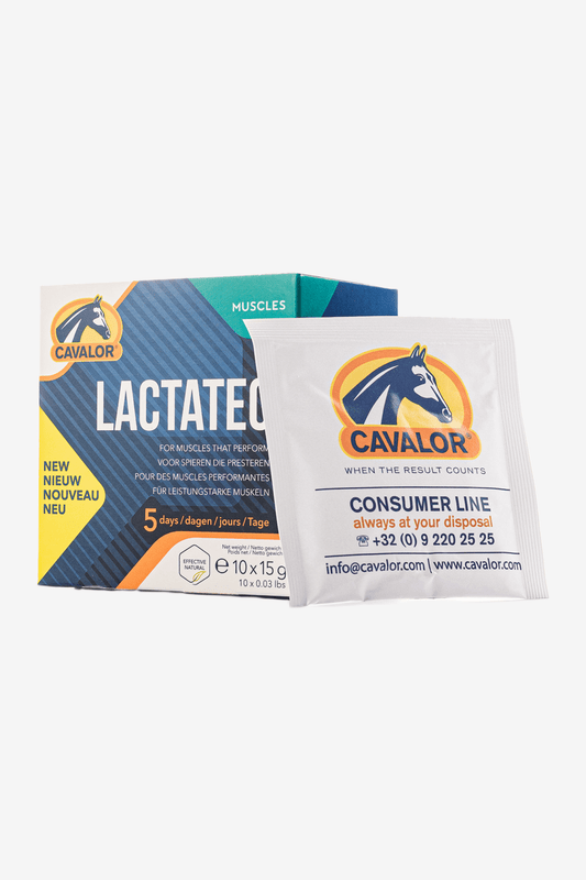 Lactatec Spruta