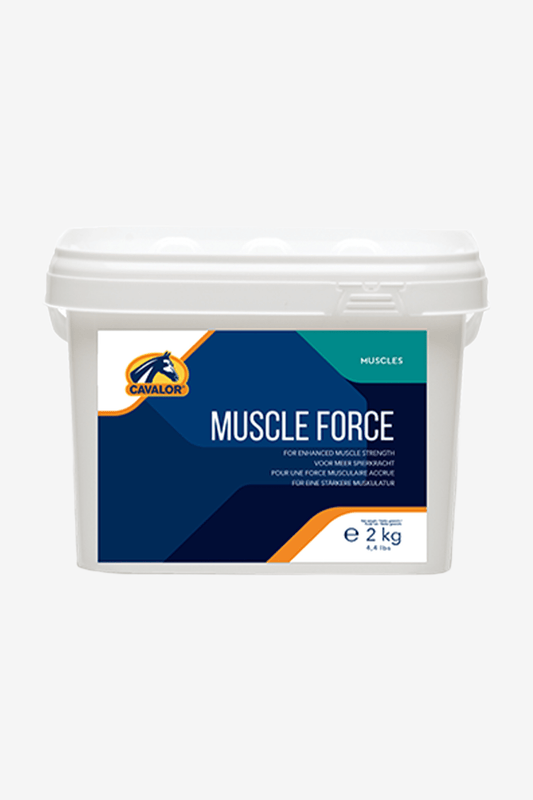 Muscle Force