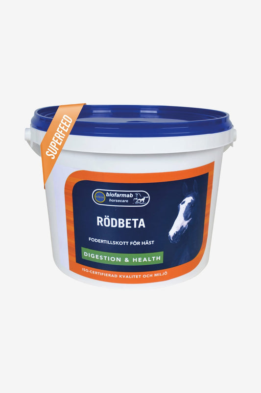 Rödbeta