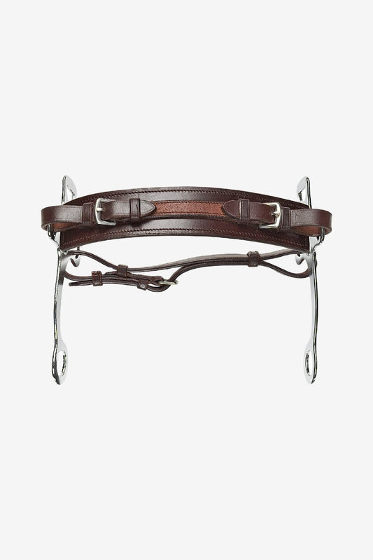 Hackamore